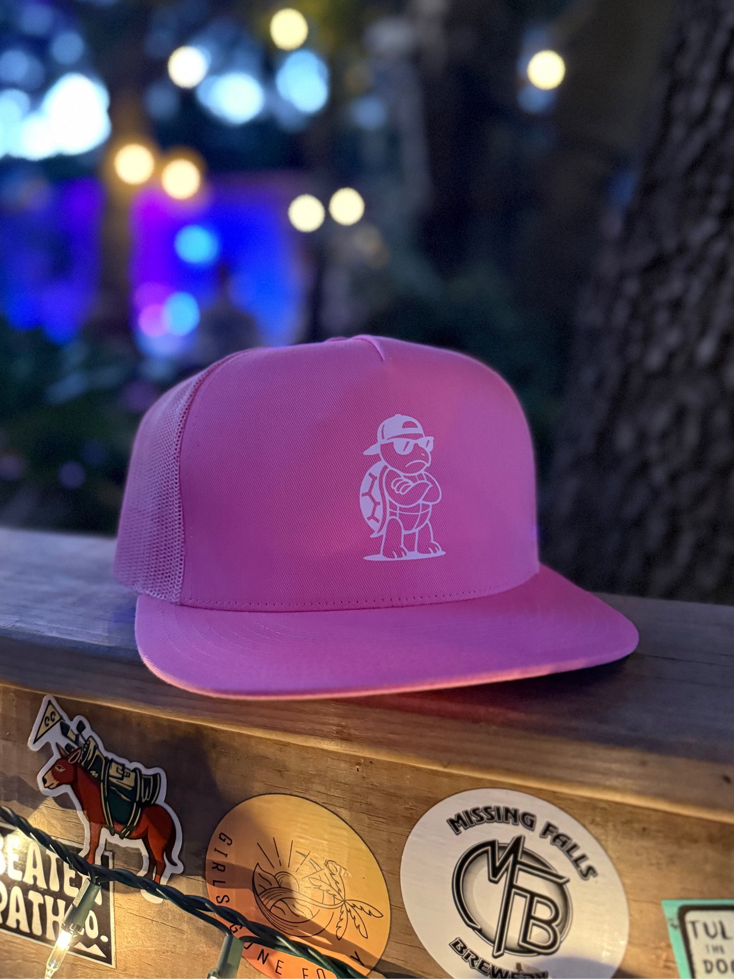 Turtle Trucker